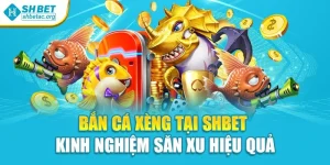 Bắn Cá Xèng Tại Shbet – Kinh Nghiệm Săn Xu Hiệu Quả