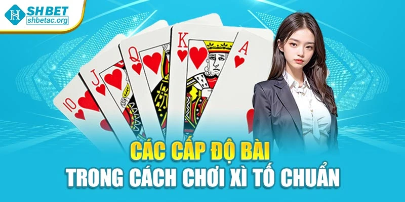 Các cấp độ bài trong cách chơi xì tố chuẩn