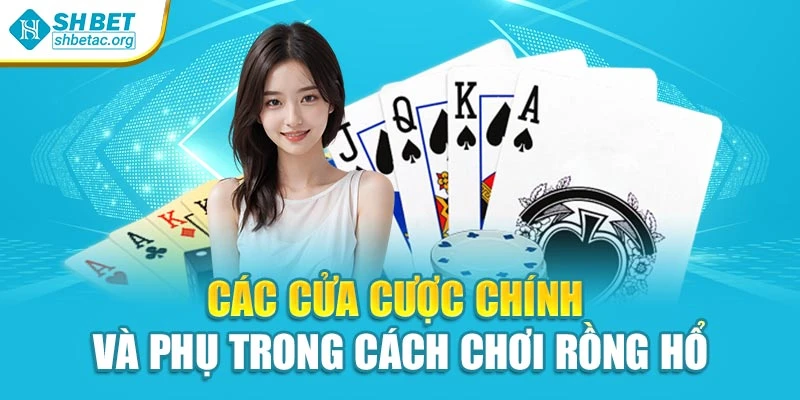 Các cửa cược chính và phụ trong cách chơi rồng hổ