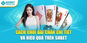 Cách Chơi Bài Chắn Chi Tiết Và Hiệu Quả Trên Shbet