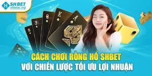 Cách Chơi Rồng Hổ Shbet Với Chiến Lược Tối Ưu Lợi Nhuận