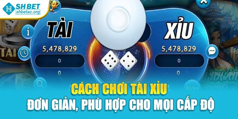 Cách chơi tài xỉu đơn giản, phù hợp cho mọi cấp độ