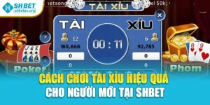 Cách Chơi Tài Xỉu Hiệu Quả Cho Người Mới Tại Shbet