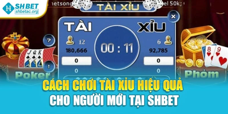 Cách Chơi Tài Xỉu Hiệu Quả Cho Người Mới Tại Shbet