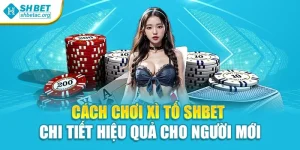 Cách Chơi Xì Tố Shbet Chi Tiết Hiệu Quả Cho Người Mới