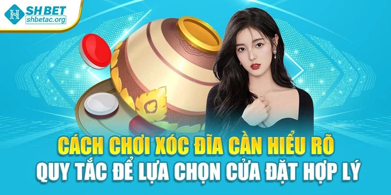 Cách chơi xóc đĩa cần hiểu rõ quy tắc để lựa chọn cửa đặt hợp lý