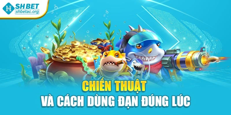 Chiến thuật và cách dùng đạn đúng lúc