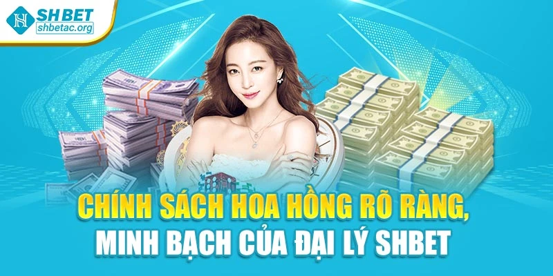 Chính sách hoa hồng rõ ràng, minh bạch của đại lý SHBet 