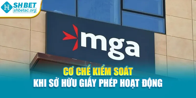 Cơ chế kiểm soát khi sở hữu giấy phép hoạt động