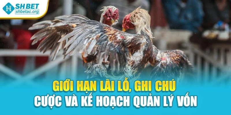 Giới hạn lãi lỗ, ghi chú cược và kế hoạch quản lý vốn