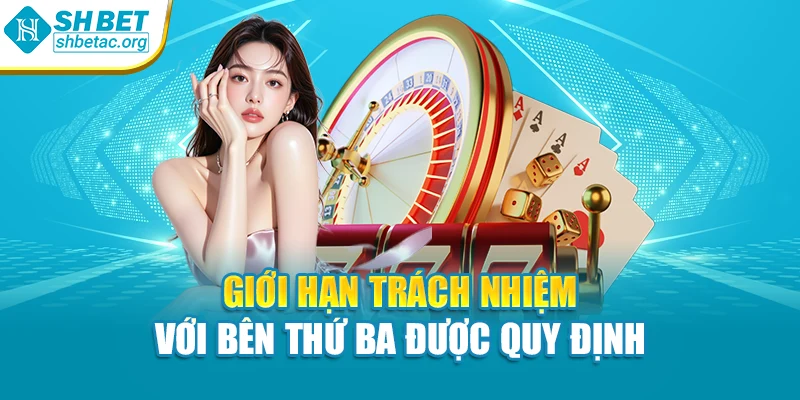 Giới hạn trách nhiệm với bên thứ ba được quy định