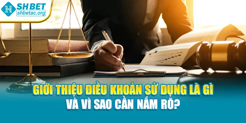 Giới thiệu Điều khoản sử dụng là gì và vì sao cần nắm rõ?