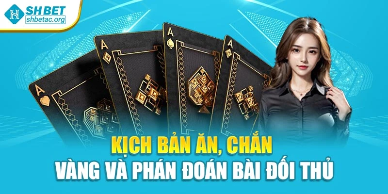 Kịch bản ăn, chắn vàng và phán đoán bài đối thủ