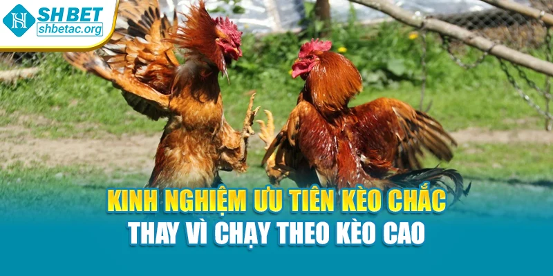 Kinh nghiệm ưu tiên kèo chắc thay vì chạy theo kèo cao