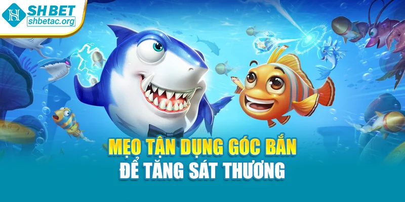Mẹo tận dụng góc bắn để tăng sát thương