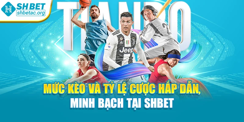 Mức kèo và tỷ lệ cược hấp dẫn, minh bạch tại SHBET