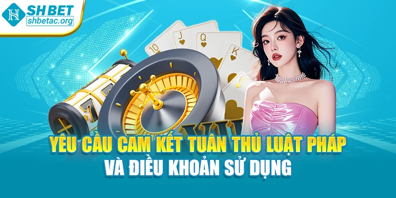 Yêu cầu cam kết tuân thủ luật pháp và điều khoản sử dụng
